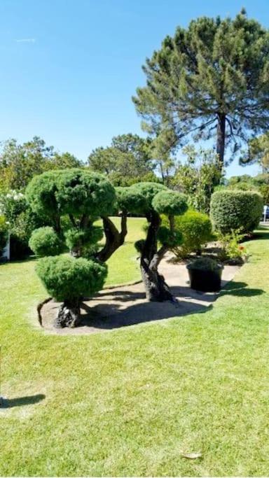 Victory Village Club,quinta Do
